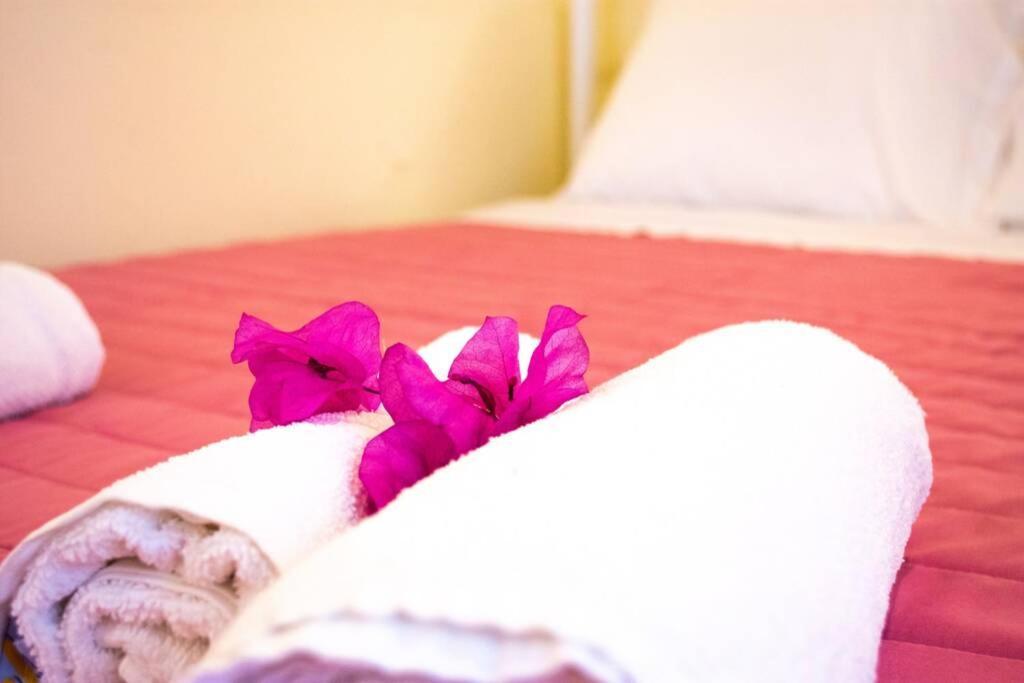 Thanos Cottage Vlachopoulatika Ngoại thất bức ảnh
